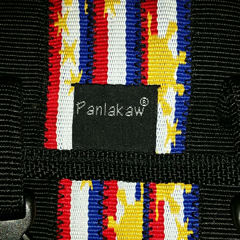 Panlakaw backpack looking purse